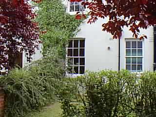 Kitchen and bathroom windows, showing small private garden.