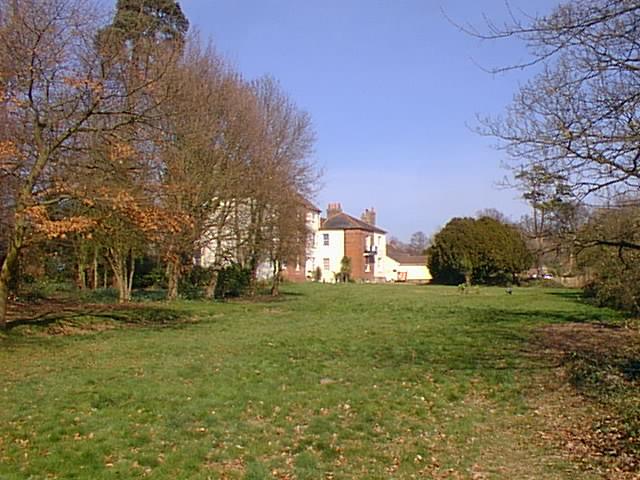 looking towards the house in spring